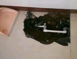 南海卫生间测漏水多少钱